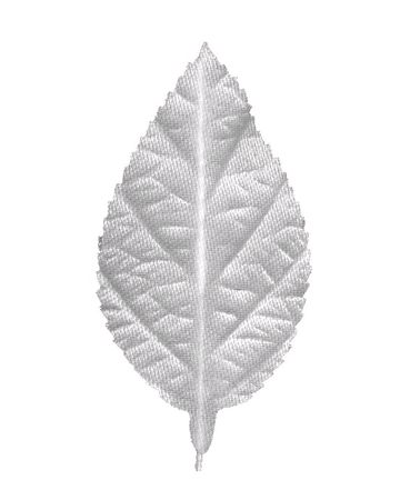 Folhas De Cetim Engomado Branco - Modelos Diversos